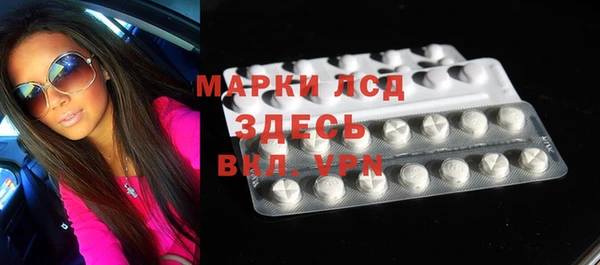 индика Новокубанск