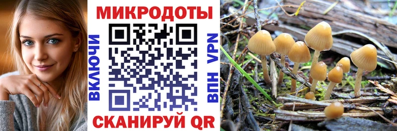 Псилоцибиновые грибы Magic Shrooms  закладка  Осинники 